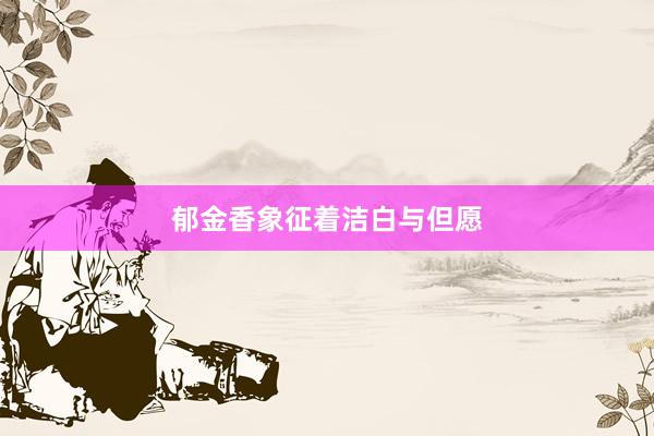 郁金香象征着洁白与但愿